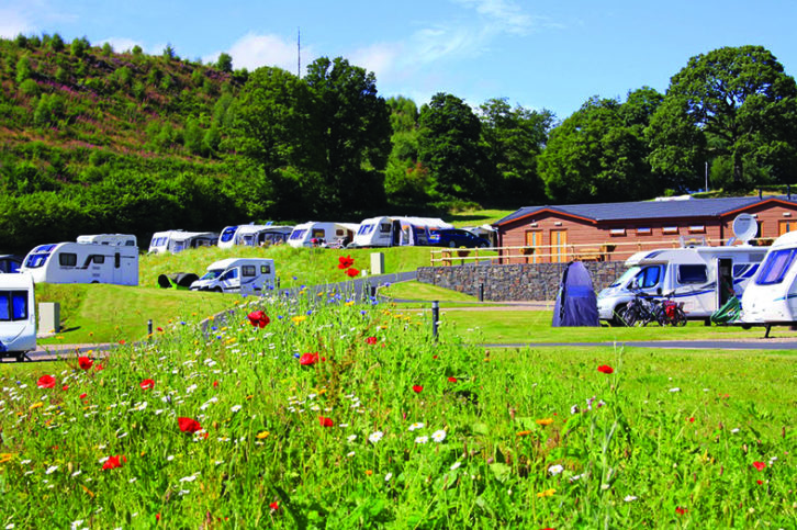 Red Kite Touring Park