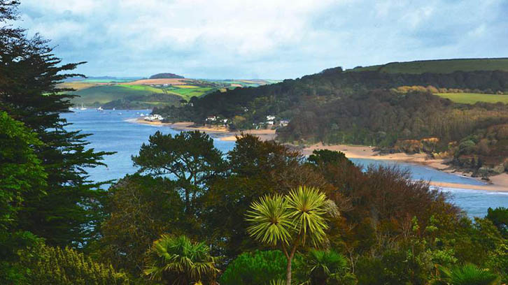 Salcombe, from Overbecks gardens