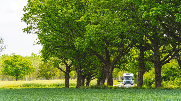 A motorhome surrounded by trees