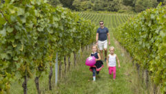Two children running through an orchard as their dad watches on