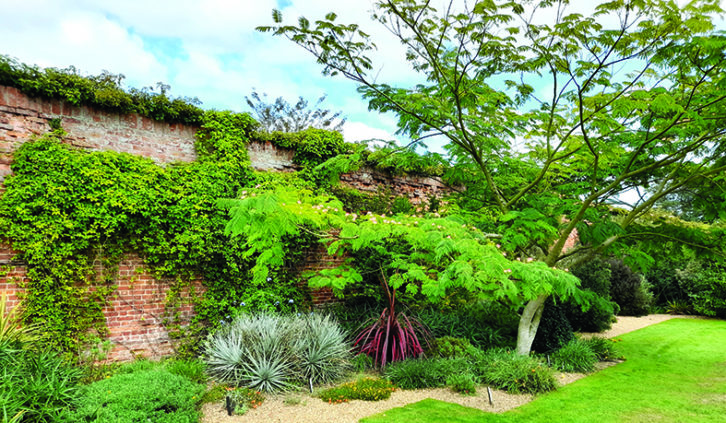 Take a gentle stroll around the beautiful gardens at Felbrigg