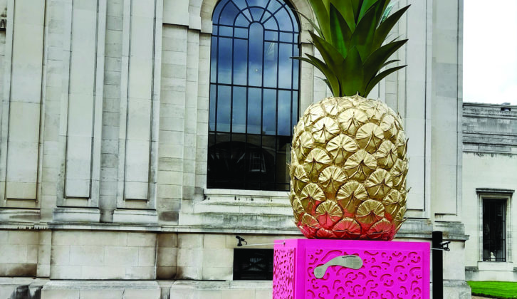 Eye-catching pineapple outside Fitzwilliam Museum