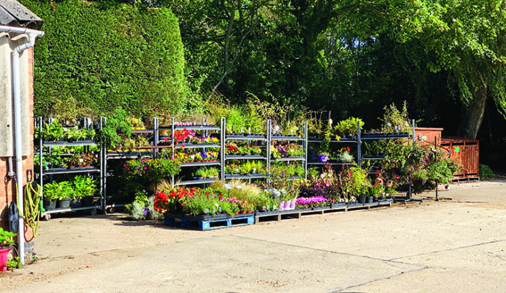 Grab some great plants from Top End Farm Shop