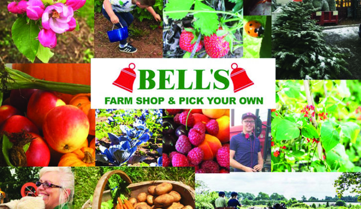 Bell's Farm Shop offers all sorts, including pick-your-own