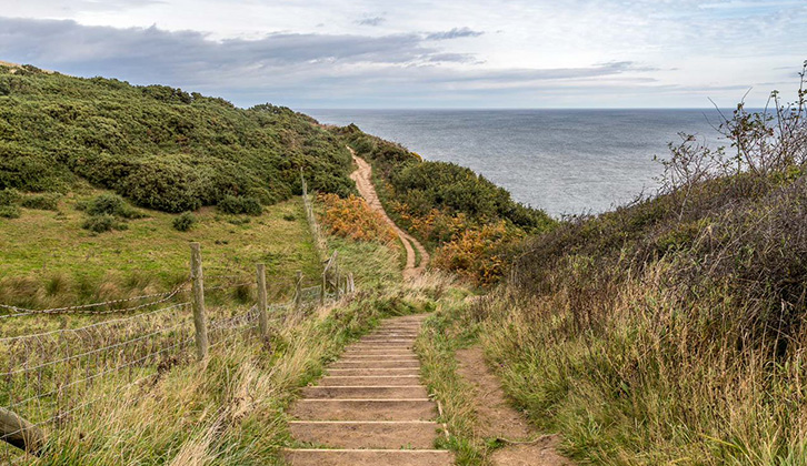 The Cinder Track, with greenery on both sides and the sea in the distance