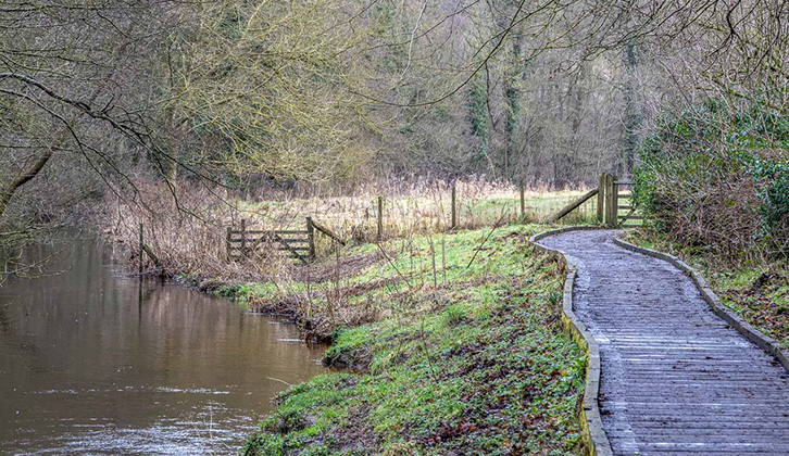 The footpath leading along the River Derwent