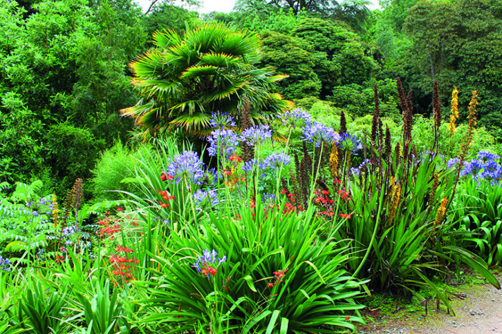 Heligan's lush gardens are superb