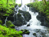 Waterfalls abound in the Lakes; Janette spotted this one on a walk around the Staveley area