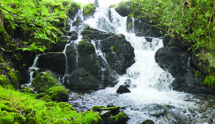 Waterfalls abound in the Lakes; Janette spotted this one on a walk around the Staveley area