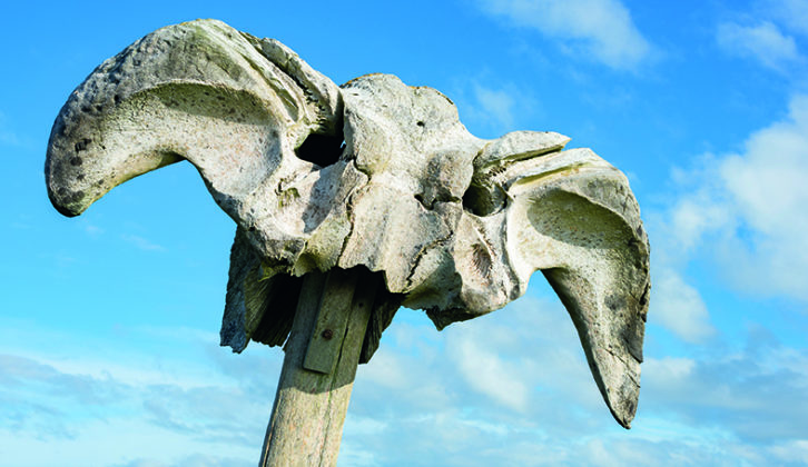 Nobody knows for sure who made the ancient whalebone into a sculpture