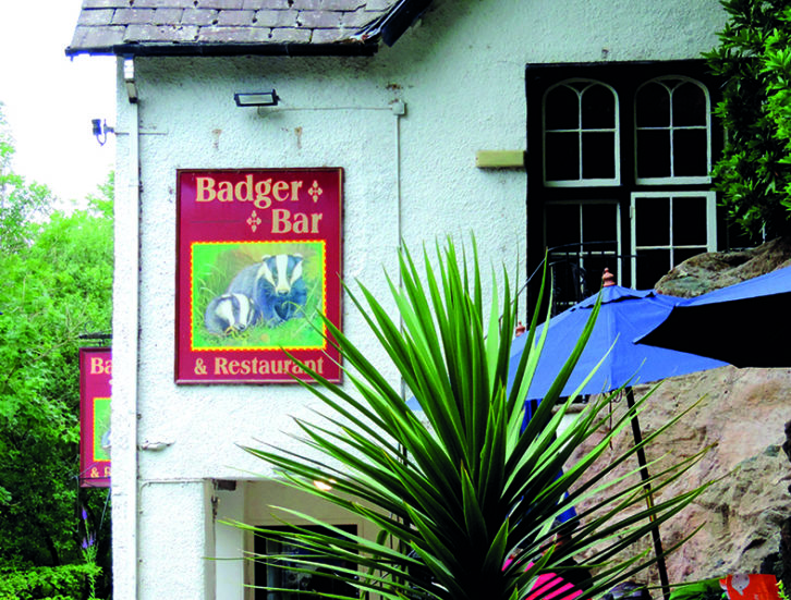 The Badger Bar