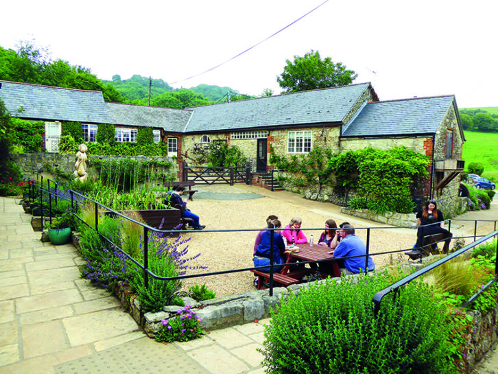 The Allium Cafe at The Garlic Farm