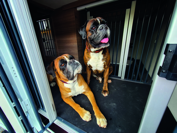 Knaus is offering a Lucky Dog Camper option to create a gated kennel below the bed