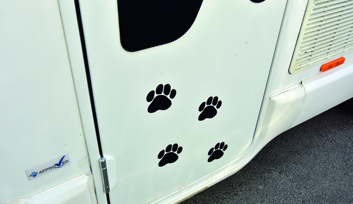 If the sellers are dog-owners, always check the motorhome interior for pet odours