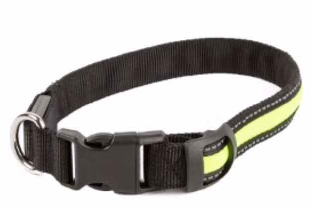 A flashing dog collar