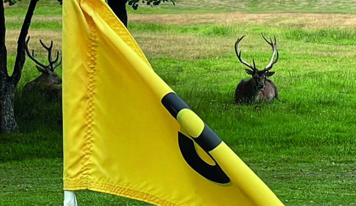 Hole three on the pitch and putt - and some impressive spectators!