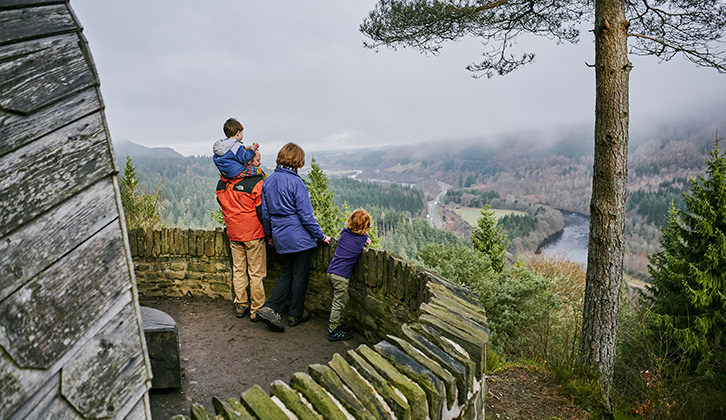 A family looking down on a beautiful view of trees on a grey day