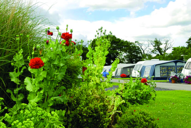 Manorwood Country Caravan Park