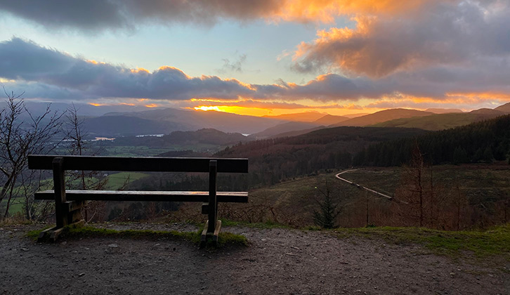 Whinlatter Forest