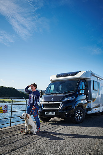 A dog and owner standing by a parked motorhome