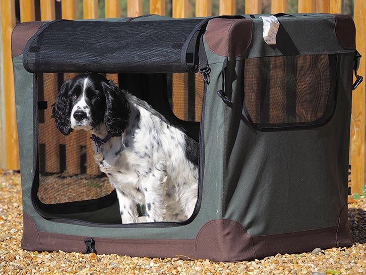 A dog in a carry crate