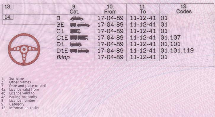 Rear of driving licence