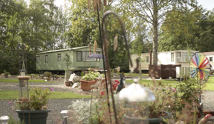 Scone Camping and Caravanning Club Site