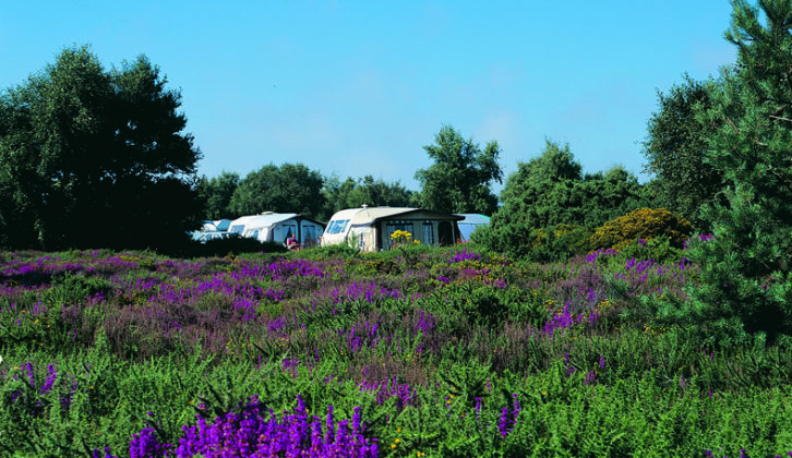 Kelling Heath Holiday Park