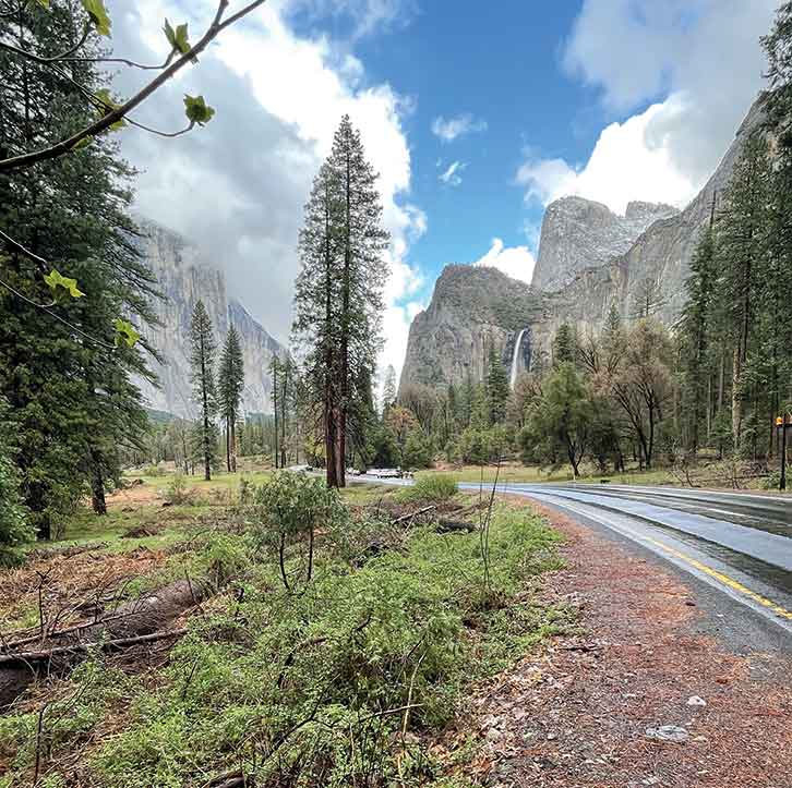 Bridalveil Fall and El Capitan