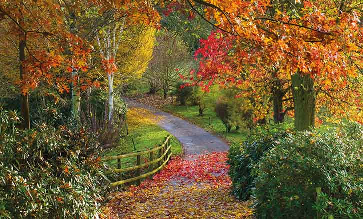 Bodenham Arboretum