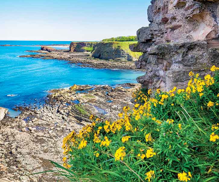 Coastline in North Berwick