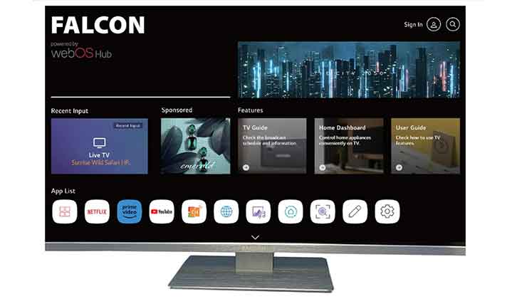 Falcon 22-inch Camping TV