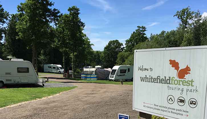 Whitefield Forest Touring Park