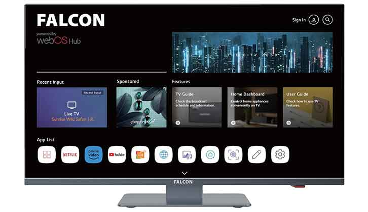 Falcon 12V 19-inch TV