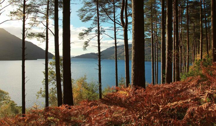 Loch Lomond & The Trossachs