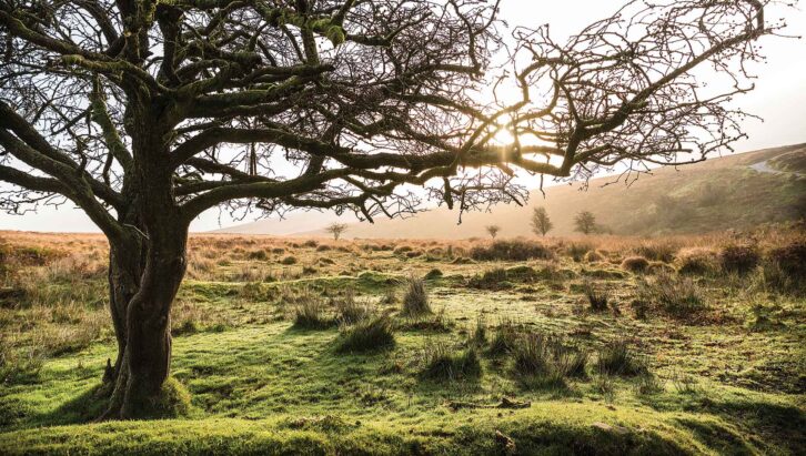 The countryside at Exmoor