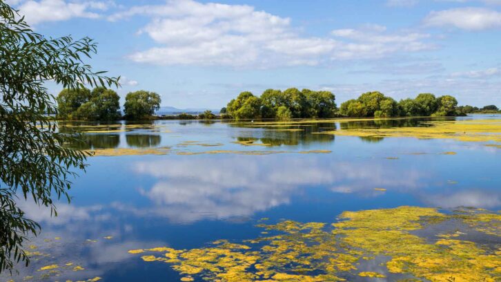 Lough Neagh