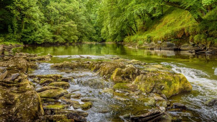 The Telfi River