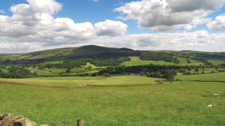 The view at Wharfe Valley