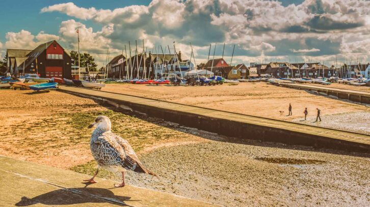 Whitstable
