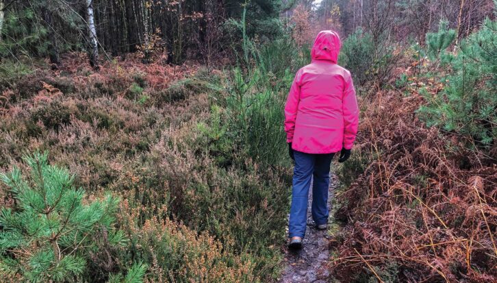 Walking in Sherwood Forest