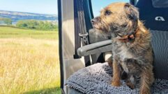 Reg looking out of the motorhome while sitting on his blanket