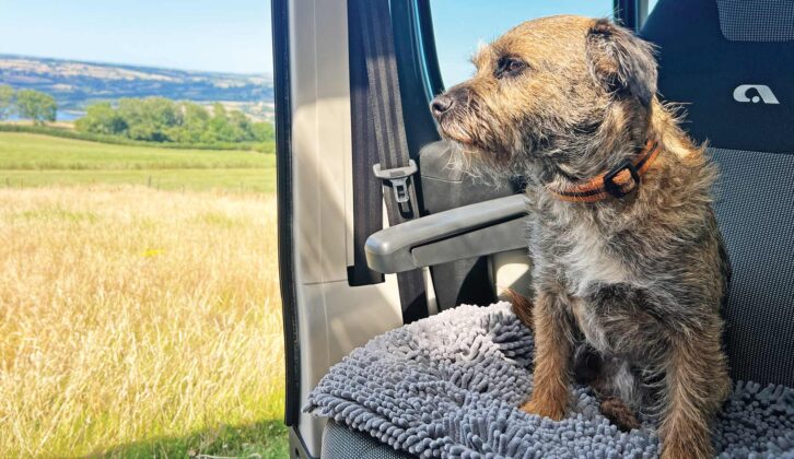 Reg looking out of the motorhome while sitting on his blanket
