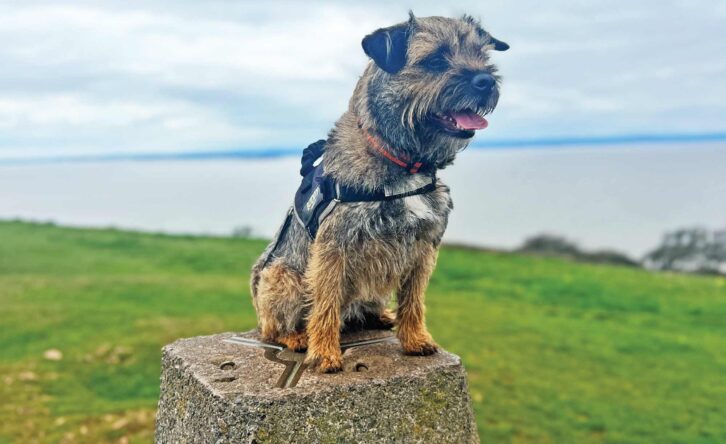 Reg exploring