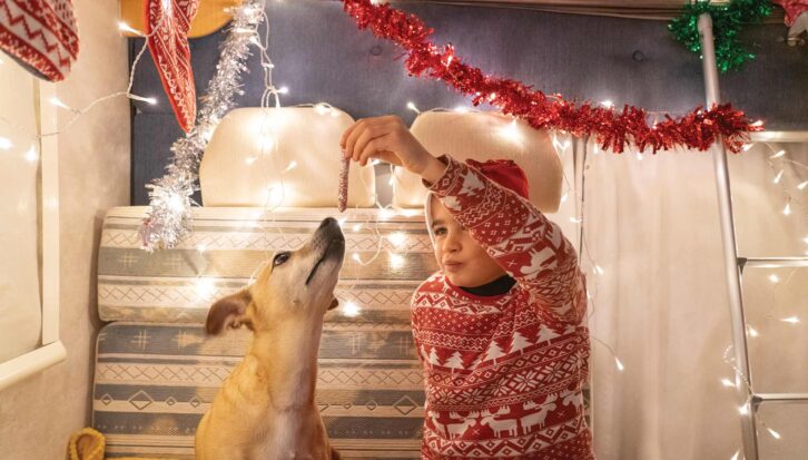 A child and a dog in a motorhome decorated for Christmas