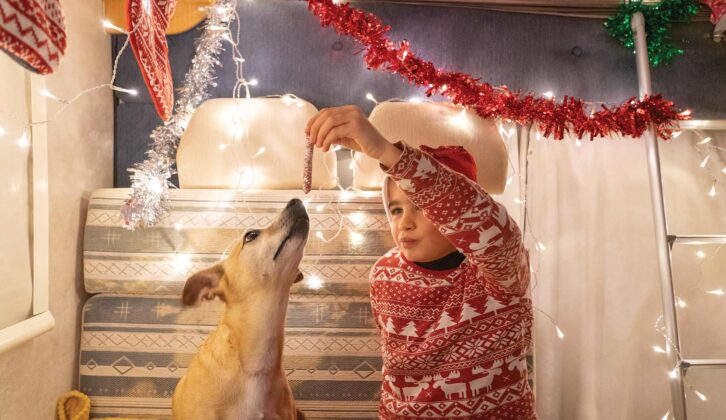 A child and a dog in a motorhome decorated for Christmas