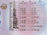 The rear of a driving licence
