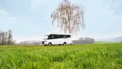 The Frankia Neo Liner