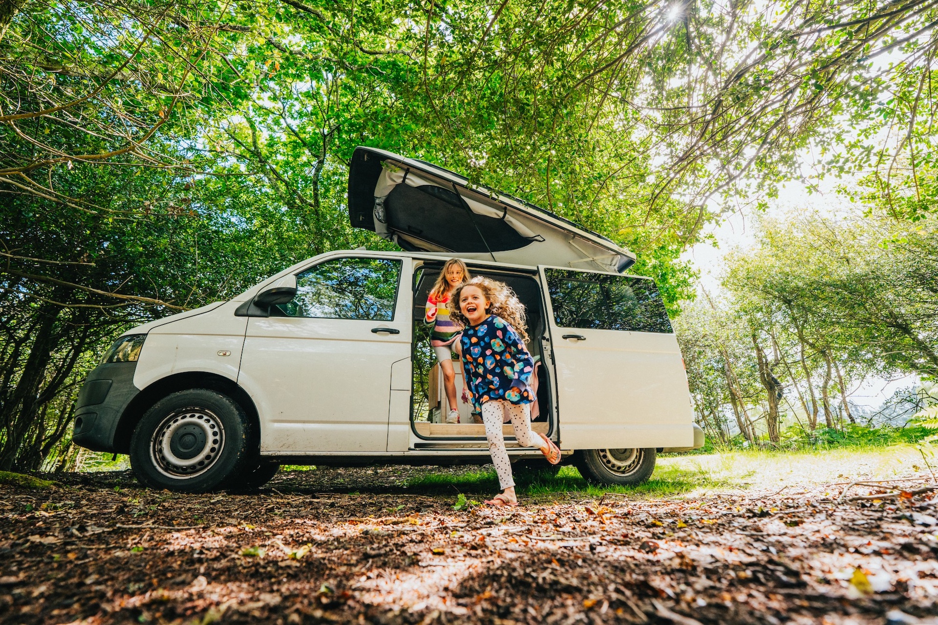 Forest campervan in woodland