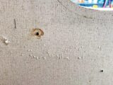 Signs of damp in a motorhome